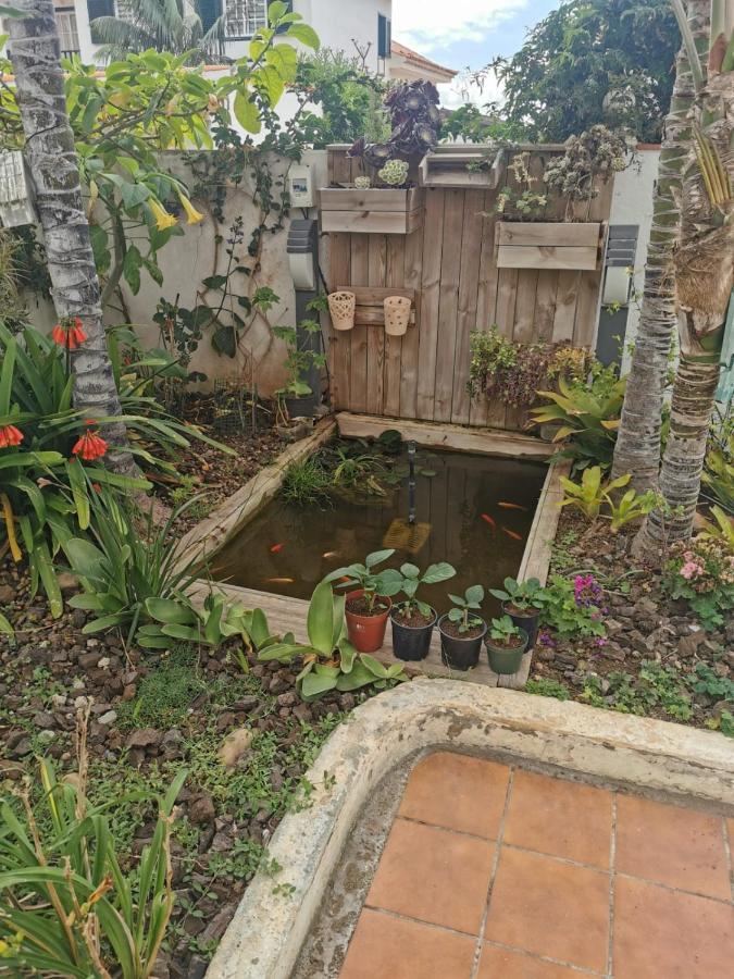 Апартаменты Jardin44 Санта-Урсула Экстерьер фото